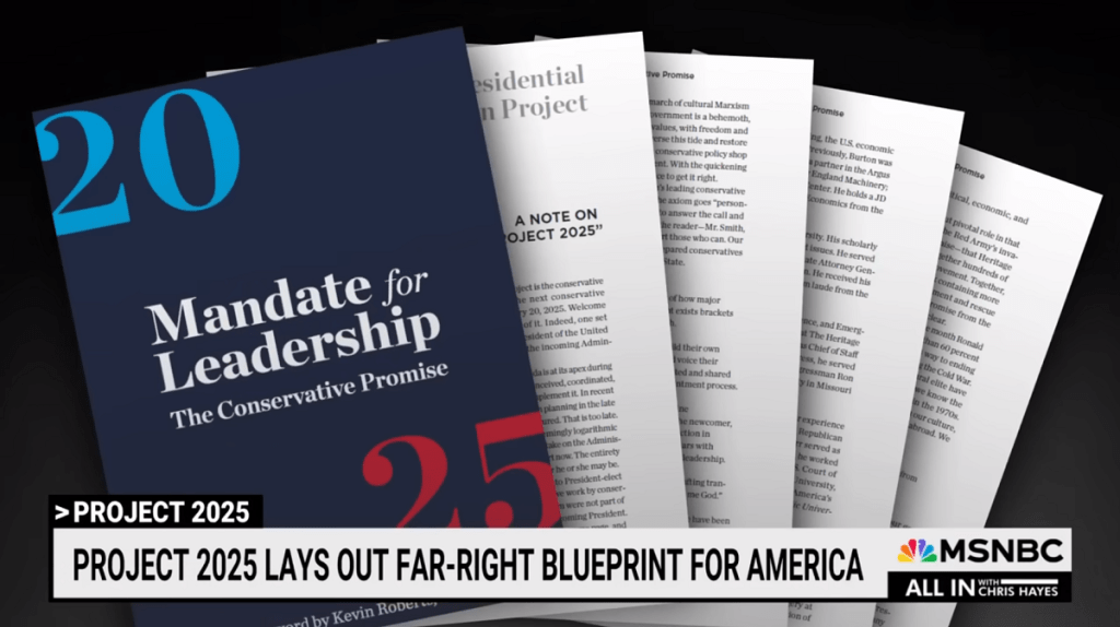 Disability grant programs 2025